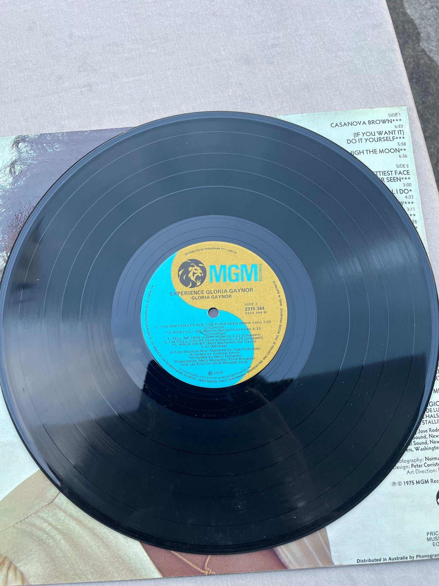 Vinyl Record LP Gloria Gaynor Experience 1975