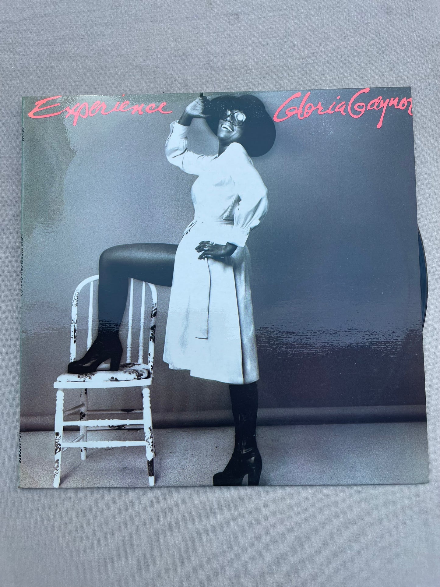 Vinyl Record LP Gloria Gaynor Experience 1975