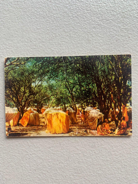Vintage Postcard Thai Buddhist Monks