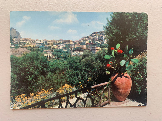 Vintage Postcard Capri Panorama
